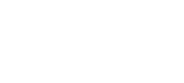 Logo Wolt